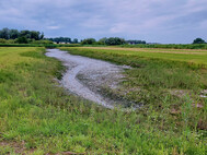 Priel an der Wedeler Au. Foto SLE